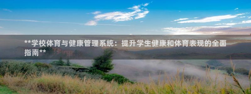 必一体育最新官网入口