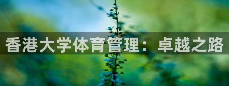 b体育官网下载入口a