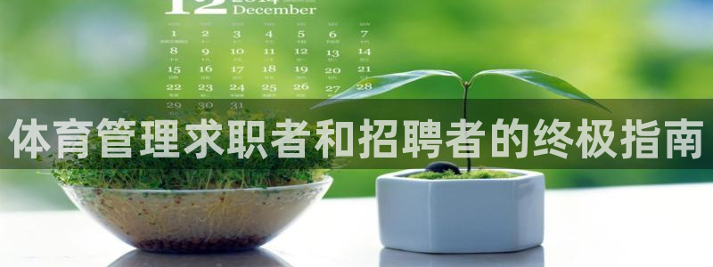 必一体育app下载装