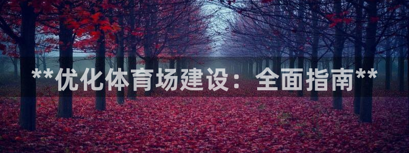 必一体育怎么下载：*