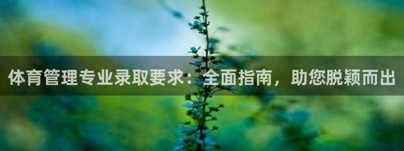 必一体育app平台下