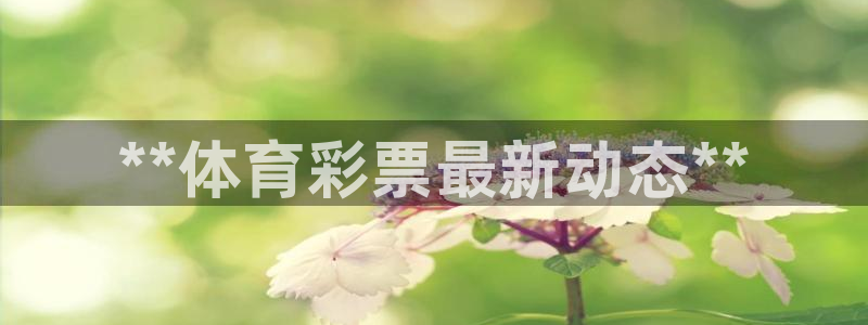 必一体育app下载：