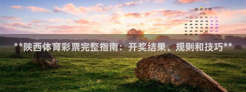 必一体育运动app：