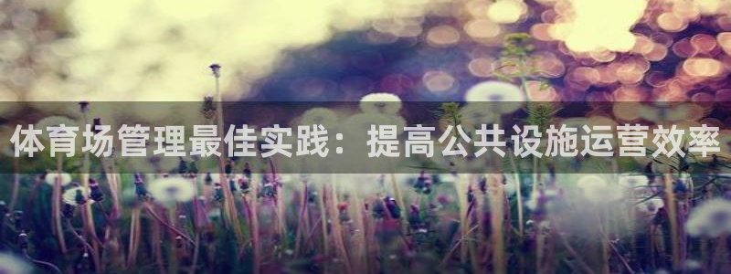 必一体育下载入口：体