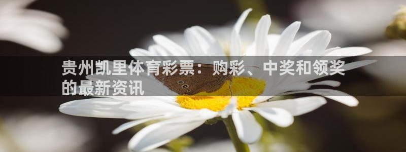 必一体育在线官网：贵