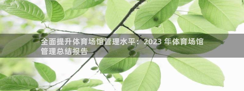 必一体育sport网