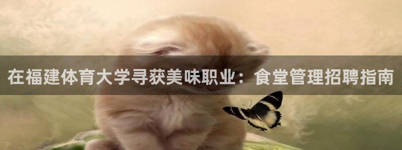 必一体育游戏玩法：在