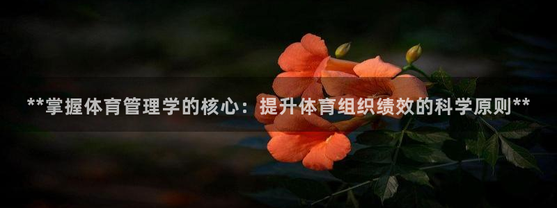 必一体育sport官