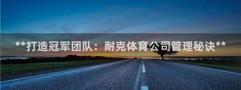 必一体育登入：**打
