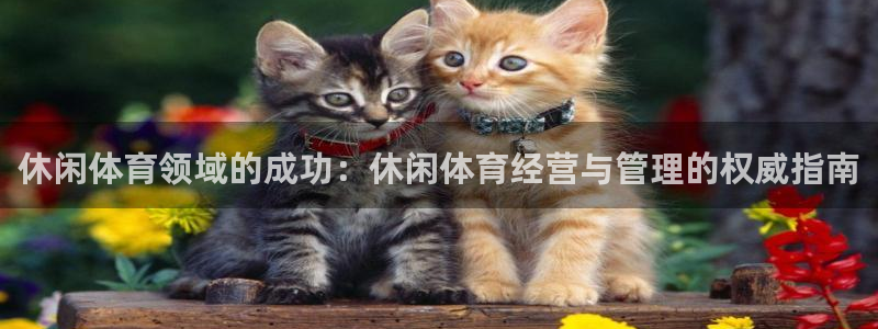 必一体育在线下载：休