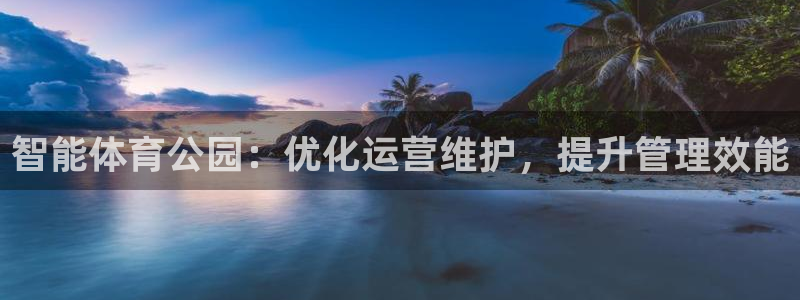 必一体育运动下载：智