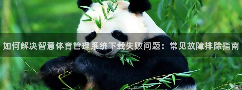 必一体育下载移动版：