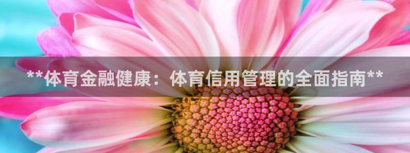 必一体育官方下载：*