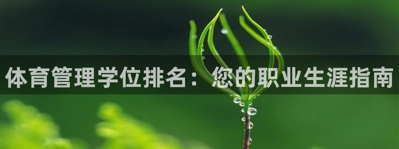必一运动体育官网下载