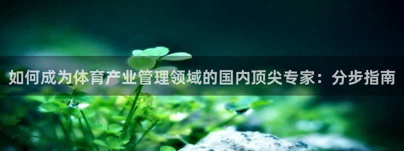 必一体育网站：如何成