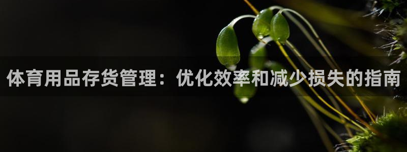必一体育登入：体育用