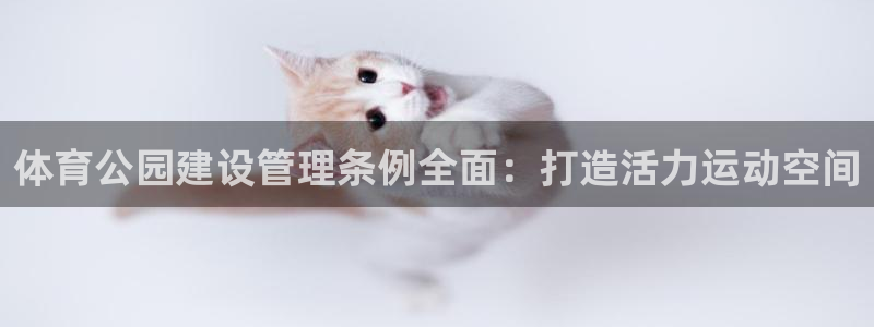 必一体育app平台下