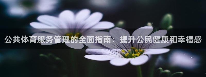 必十二和必一的副作用