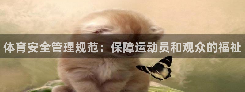 必一体育APP：体育