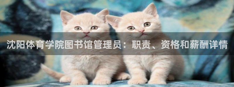 必一运动官网入口：沈