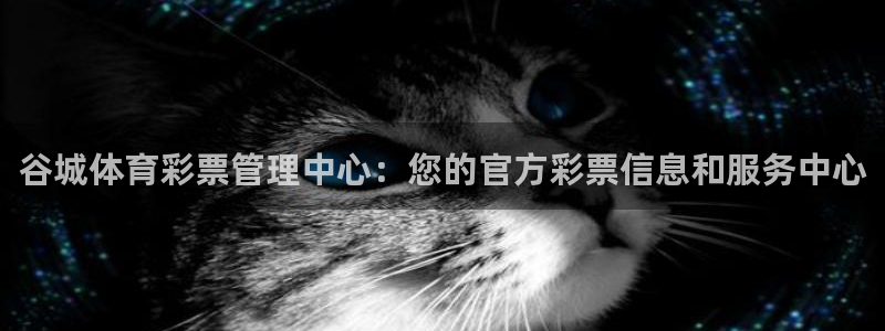 必一体育下载移动版：