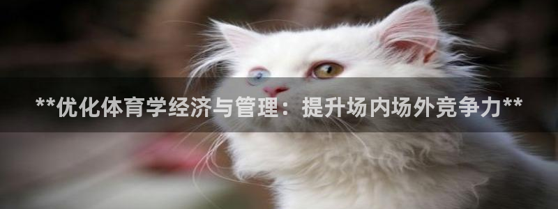 必一体育服下载最新版