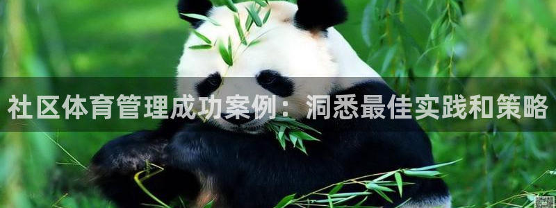 必一体育sport下