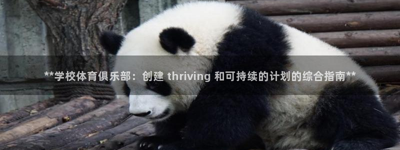 必一运动验证码：**