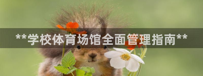 必一运动：**学校体