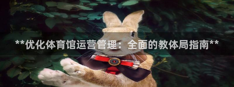 必一体育官方网站入口