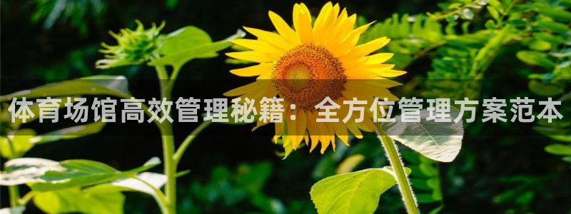 必一体育流水线是什么