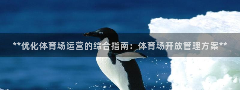 必一运动bsport