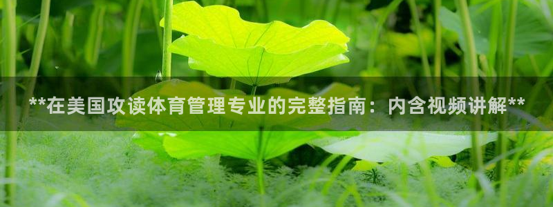 必一体育电子app：
