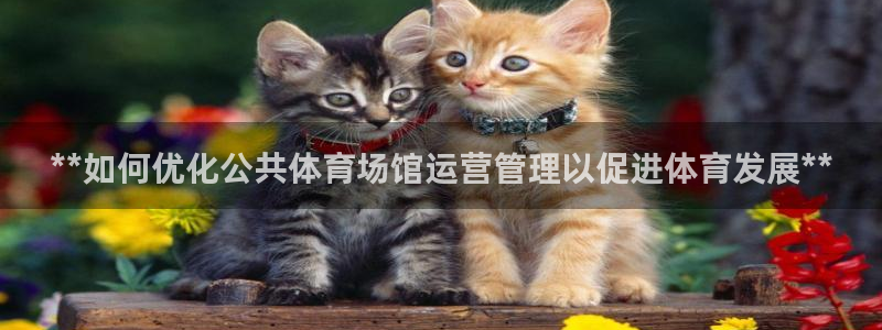 必一体育运动官网：*