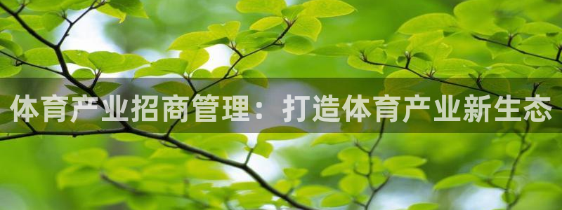 必一体育运动app下