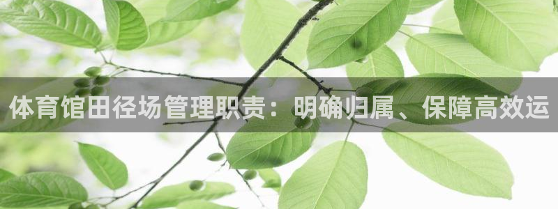 必一体育网页版登录：