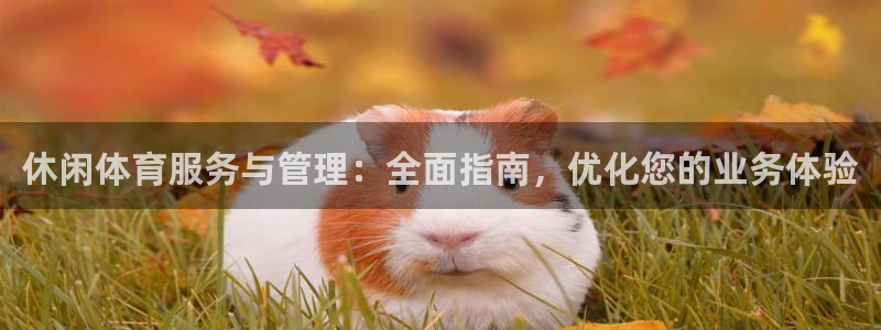 必一体育在线登录：休