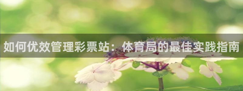 必一运动sport网