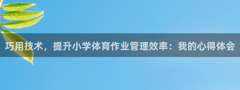 必一体育登录APP下