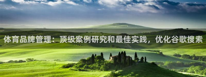 必一体育官方下载：体育品牌管理：顶级案例研究和最佳实践，优化