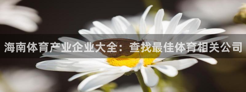 必一运动sport爱