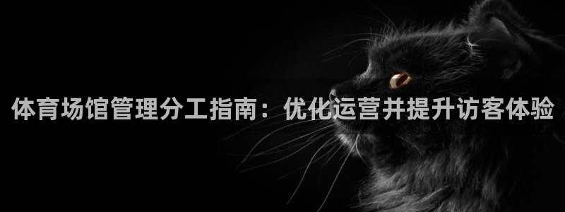 必一运动B-Spor