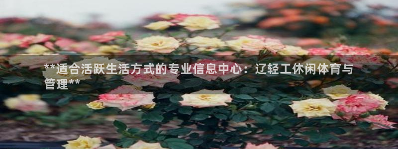 必一体育验证码：**