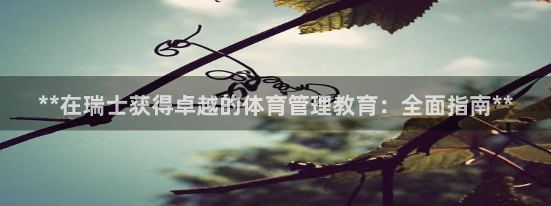 必一运动体育官网下载：**在瑞士获得卓越的体育管理教育：全面