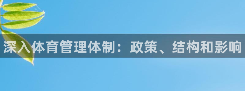 必一运动体育官网下载：深入体育管理体制：政策、结构和影响