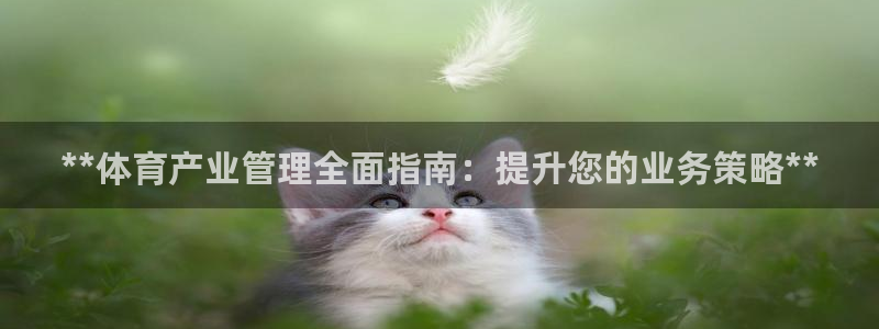 必一运动·(B-Sp