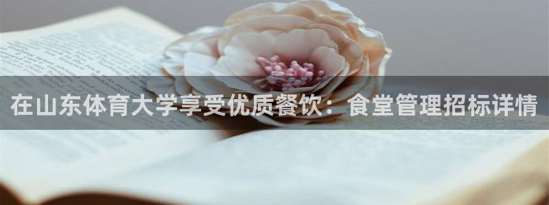 必一体育sport官