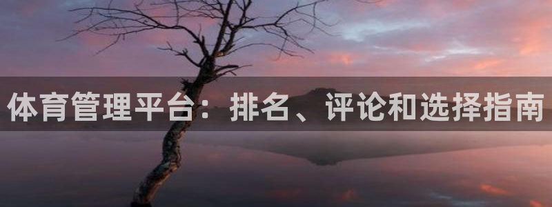 必一体育下载app下载：体育管理平台：排名、评论和选择指南