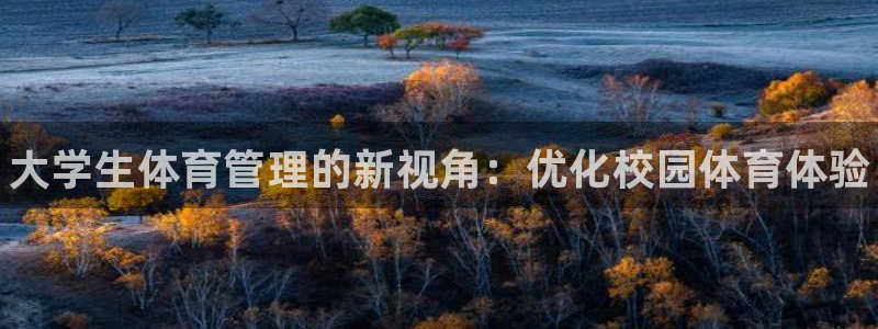 必一体育验证码：大学