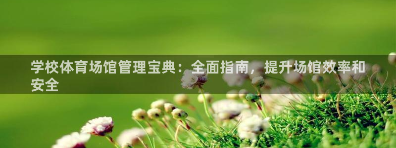 必一体育官方app下载：学校体育场馆管理宝典：全面指南，提升